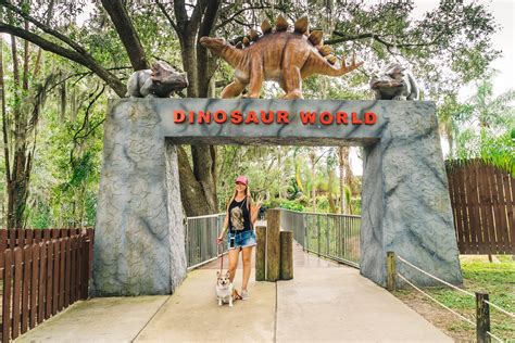 Dinosaur parks near me - Dinosaur World Texas is located just around the corner from Dinosaur Valley State Park in Glen Rose, Texas. VISIT TEXAS. Embark on a journey through time as you discover the awe-inspiring history of Earth's original rulers. From the mighty T-Rex to the gentle Brachiosaurus, Dinosaur World is an educational and exciting theme park and museum! 